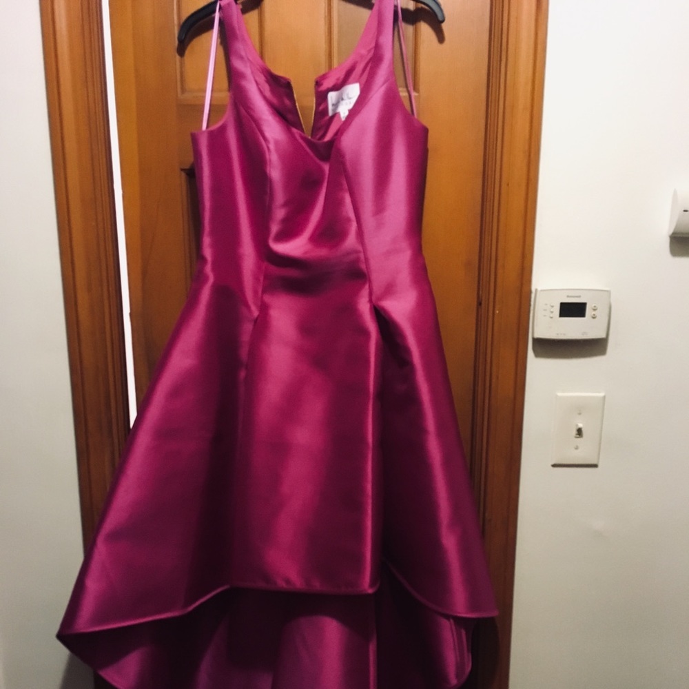 A Fuschsia evening Gown